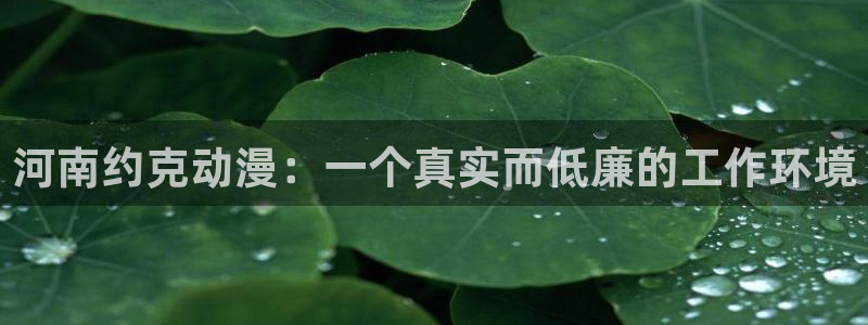 里番全彩漫画库：河南约克动漫：一个真实而低廉的工作环境