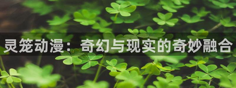 动漫里番免费看