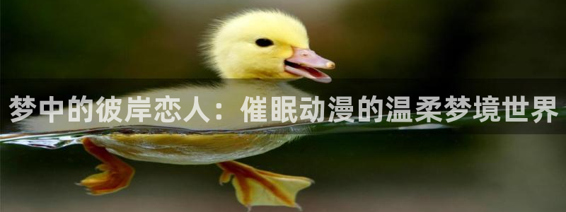 里番动漫观看在线