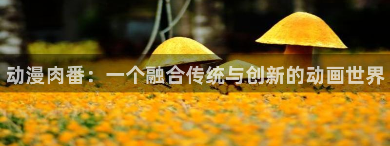 旧里番 动漫