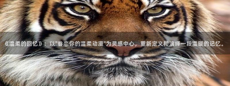日漫里番动漫
