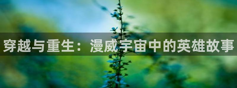 漫画里番