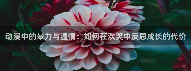 里番h动漫在线