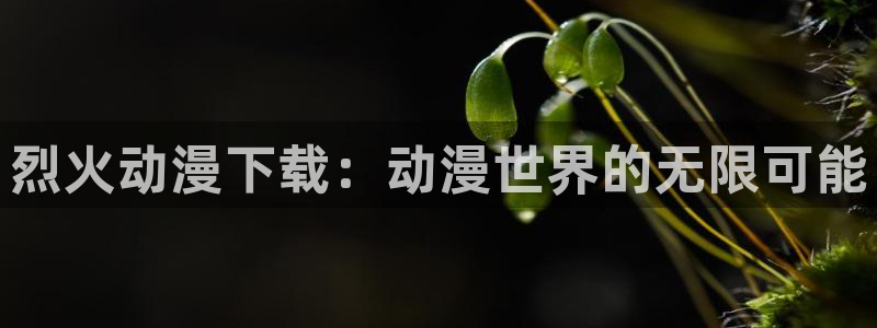 里番动漫 在线观看