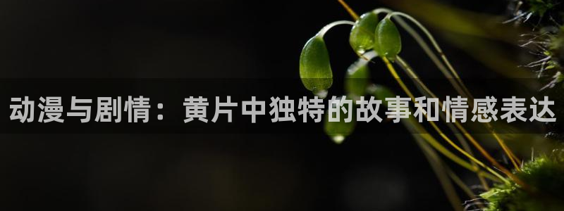 漫画少女里番：动漫与剧情：黄片中独特的故事和情感表达