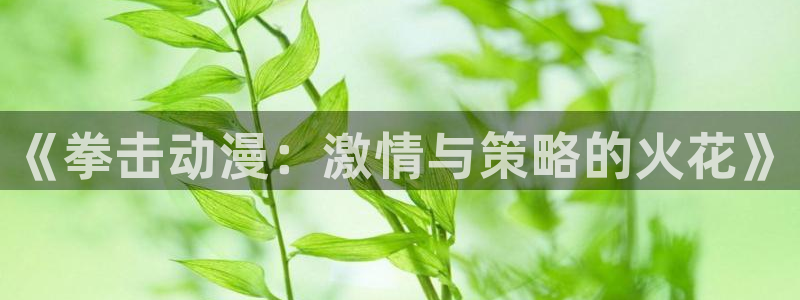里番动漫在线免费