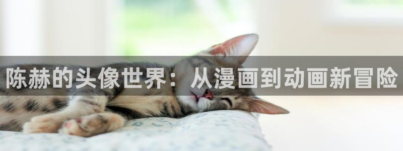ova里番动漫