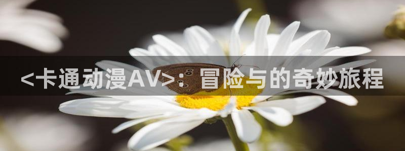 里番动漫的网站