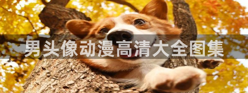 漫画肉里番