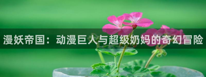里番动漫岛