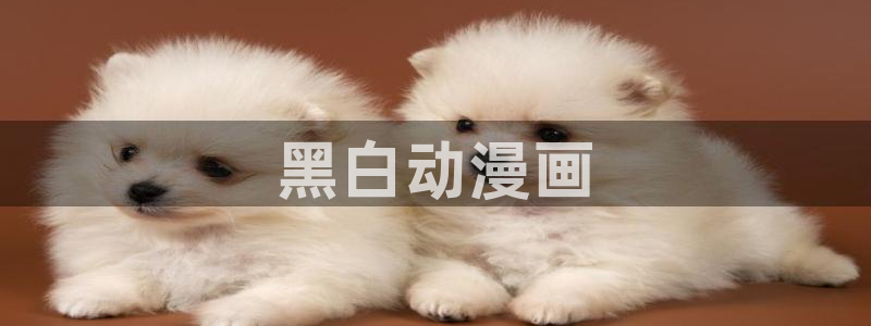 动漫里番经典：黑白动漫画