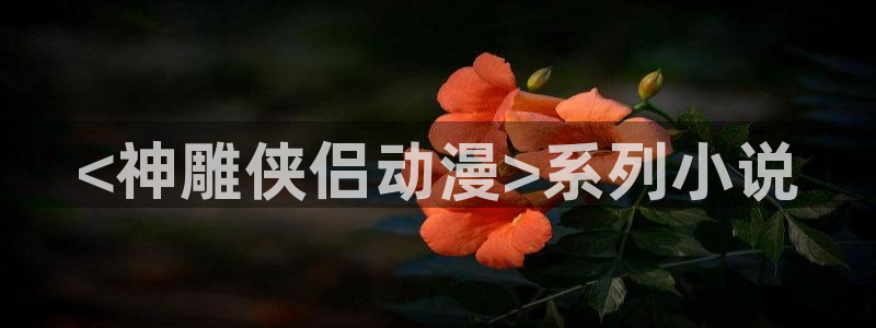 里番动漫网站推荐：<神雕侠侣动漫>系列小说