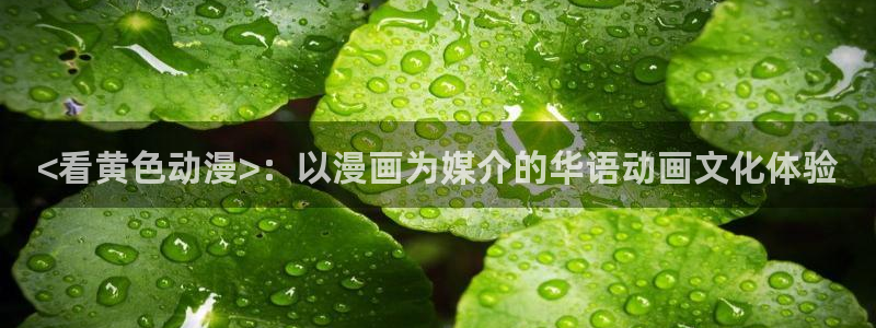 里番漫画无翼鸟：<看黄色动漫>：以漫画为媒介的华语动画文化体验
