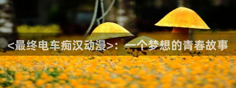 ntr里番动漫：<最终电车痴汉动漫>：一个梦想的青春故事