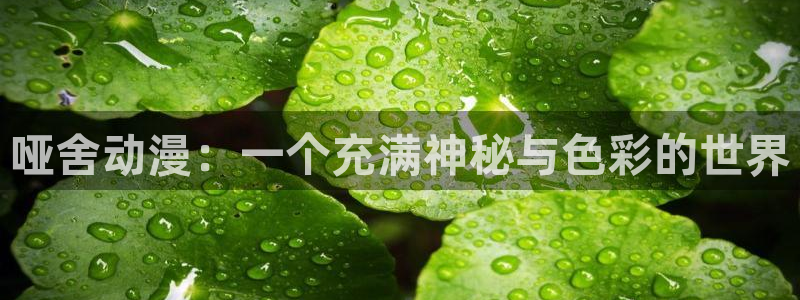 里番动漫免