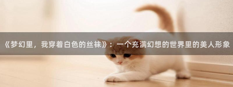 里番动漫电影
