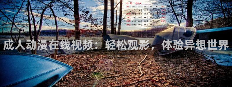 看里番动漫网站