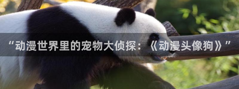免费动漫大全里番
