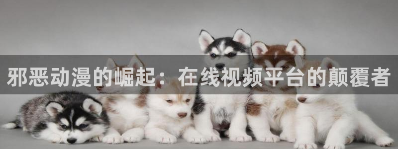 动漫acg里番