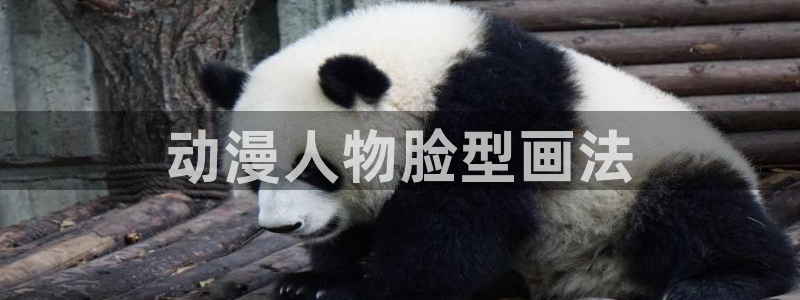 里番动漫库