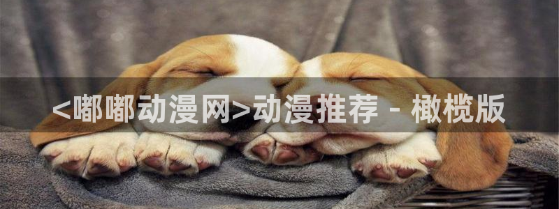 动漫网站里番