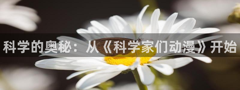 足控里番动漫
