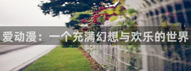 里番动画app