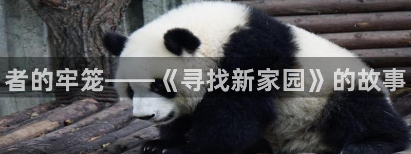 好看的里番动漫