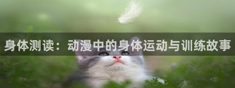 里番动漫av