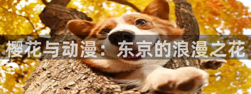 好看的里番