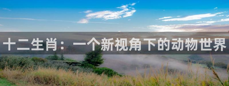里番动漫游戏
